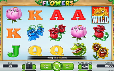 El juego de tragamonedas Flowers en el casino online argentino Codere